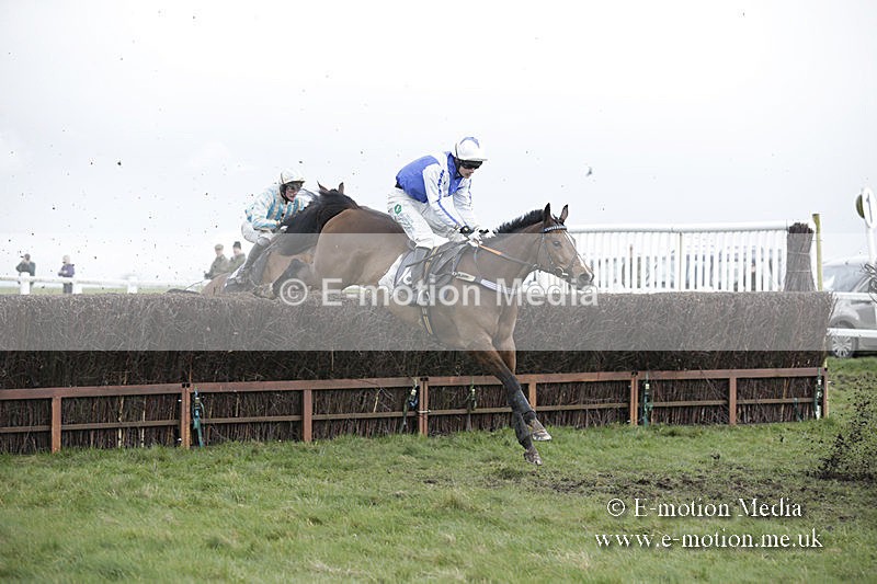 PtP 150320 0581 - New Forest Point-to-Point Larkhill 15/03/20