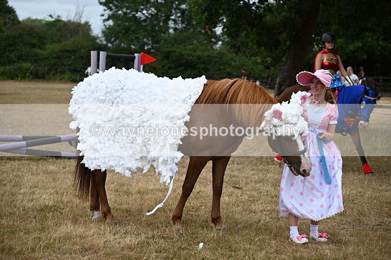 WJ6_8757 - Class 11 Fancy Dress
