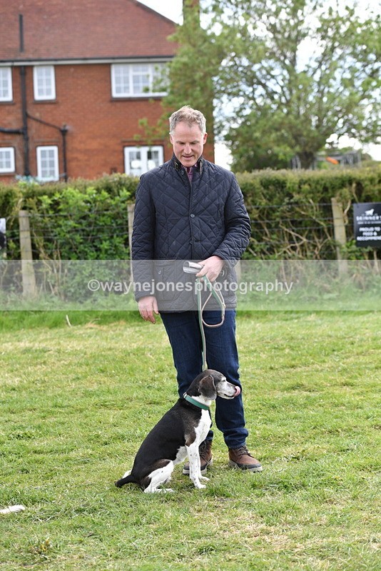 WJ5_0166 - Class 5 Best Veteran / 7 years & over