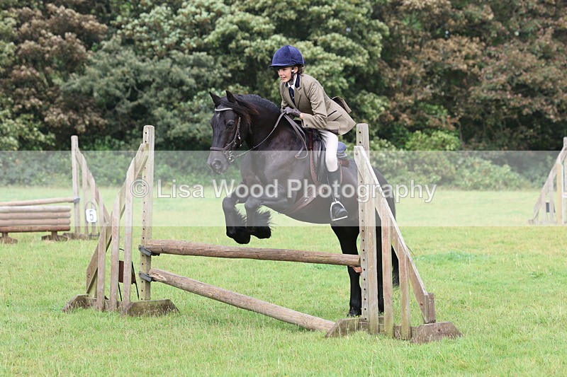 3E7A5810 - Class 26 and 27: 70cm Working Hunter