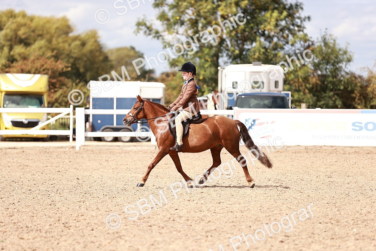 SBM_14381 - Class 409 - Grassroots Ridden - Pony