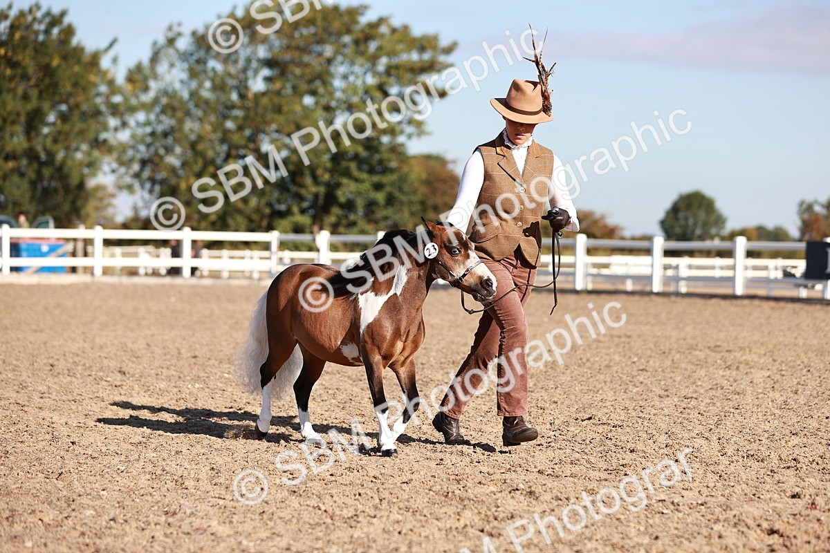 SBM_11446 - Class 402 - IH  Veteran pony