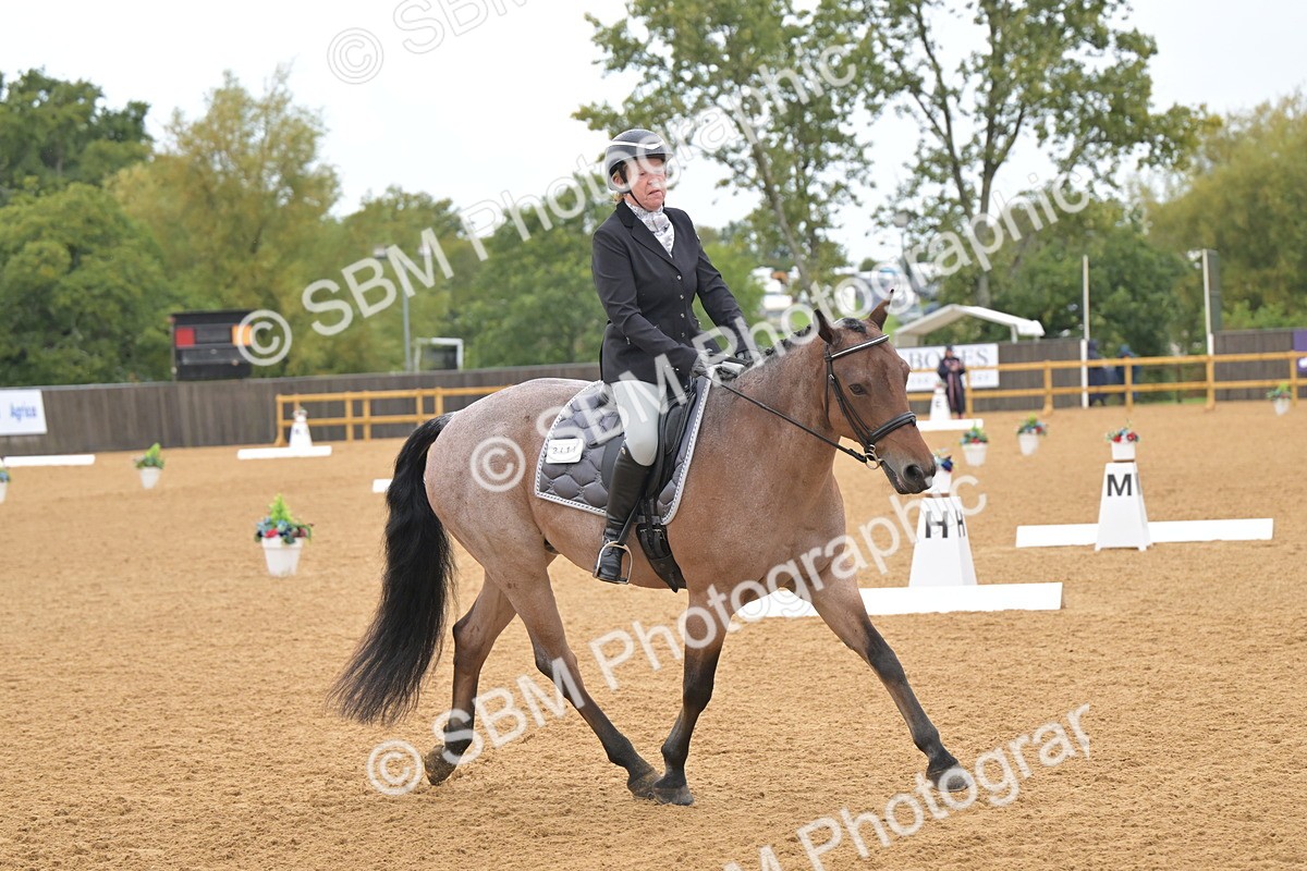 SBM_00521 - D2 - Small Tour Championship Intro 2