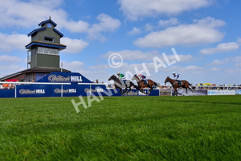 310824-Race 1-Quietness-5824 - Race 1