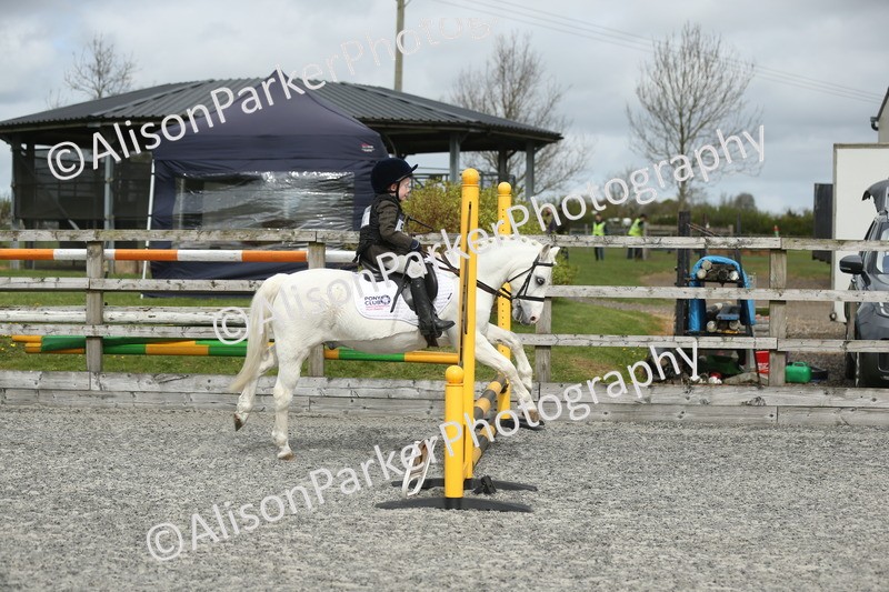 20260412-0706 - Show Jumping