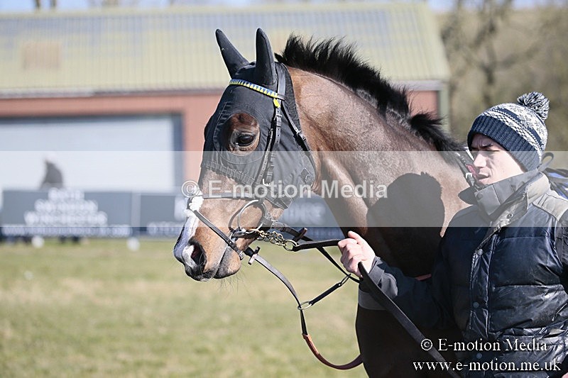 PtP 240218 110 - Vine & Craven Hunt Point-to-Point Barbury racecourse 24/02/18