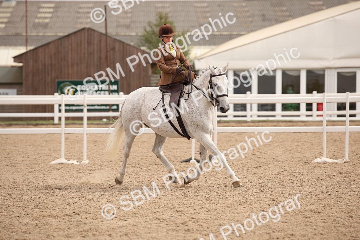 SBM_05428 - Class 22 SSA Equitation