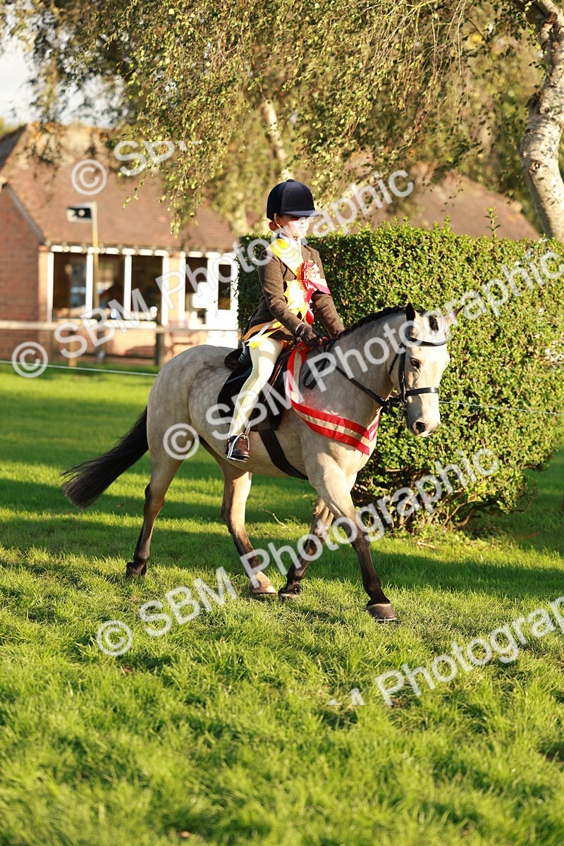 SBM_29344 - Novice & newcomer Supreme Championship