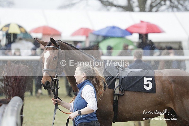 PtP 180323 1051 - Shelfield Park Races with Croome & West Warwickshire Hunt  18/03/23