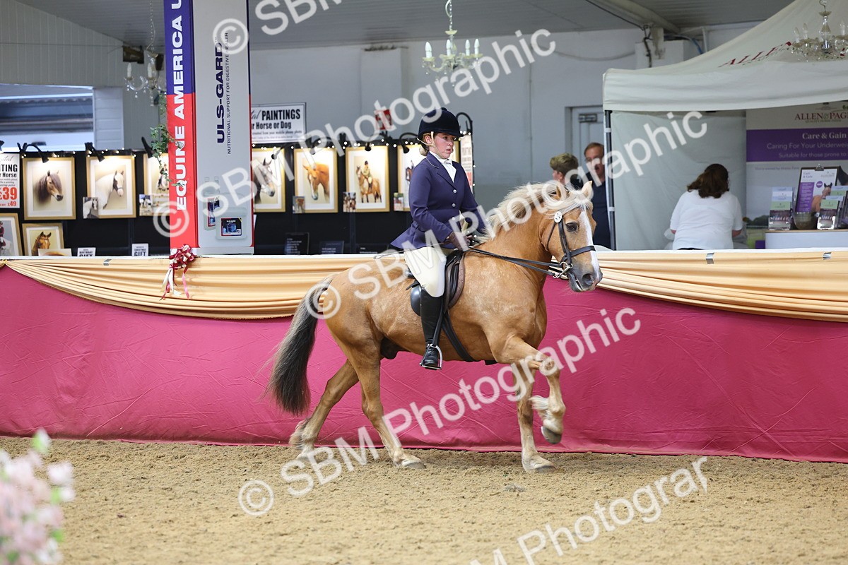 SBM_23509 - Class 904 - Supreme Final Ridden Diamond