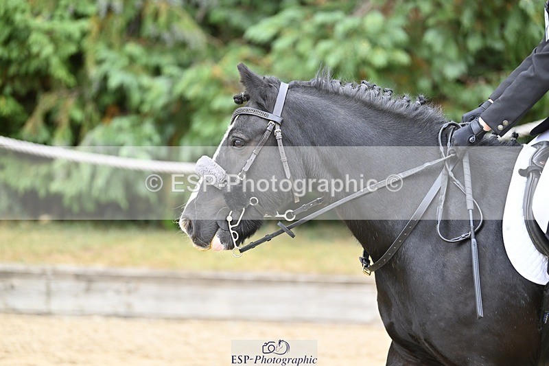 250820A-100501-02048 - Round 1, 9am to 10am Break