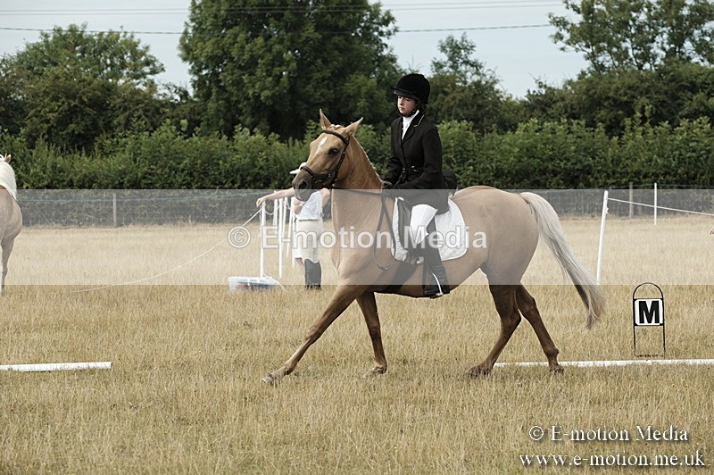 _PJP5739 - Dressage Classes BVRC Show 2018