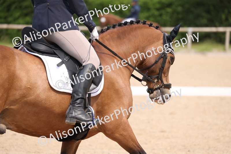 20250604-0537 - Class 3 - Novice 5