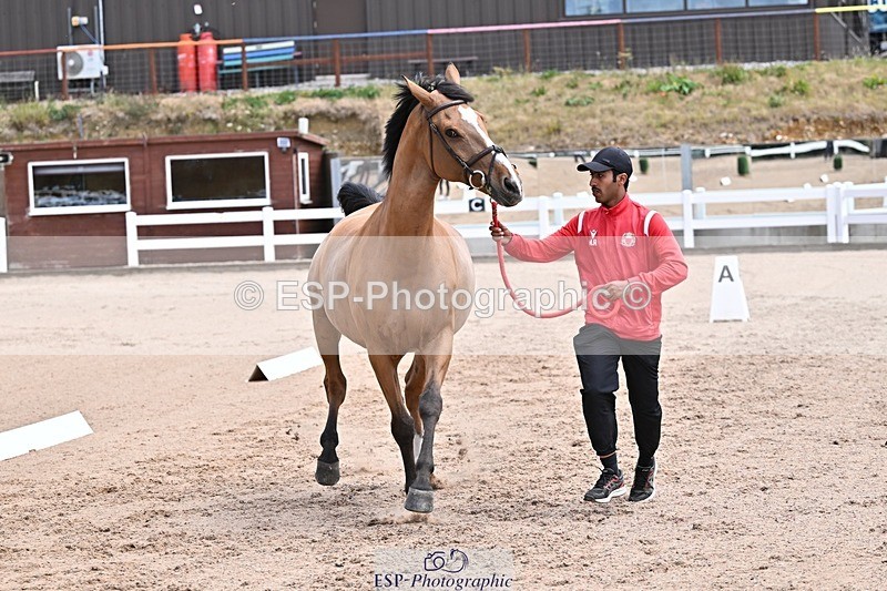 250716-130330-00295 - Trot Up 12.30 to 1.30