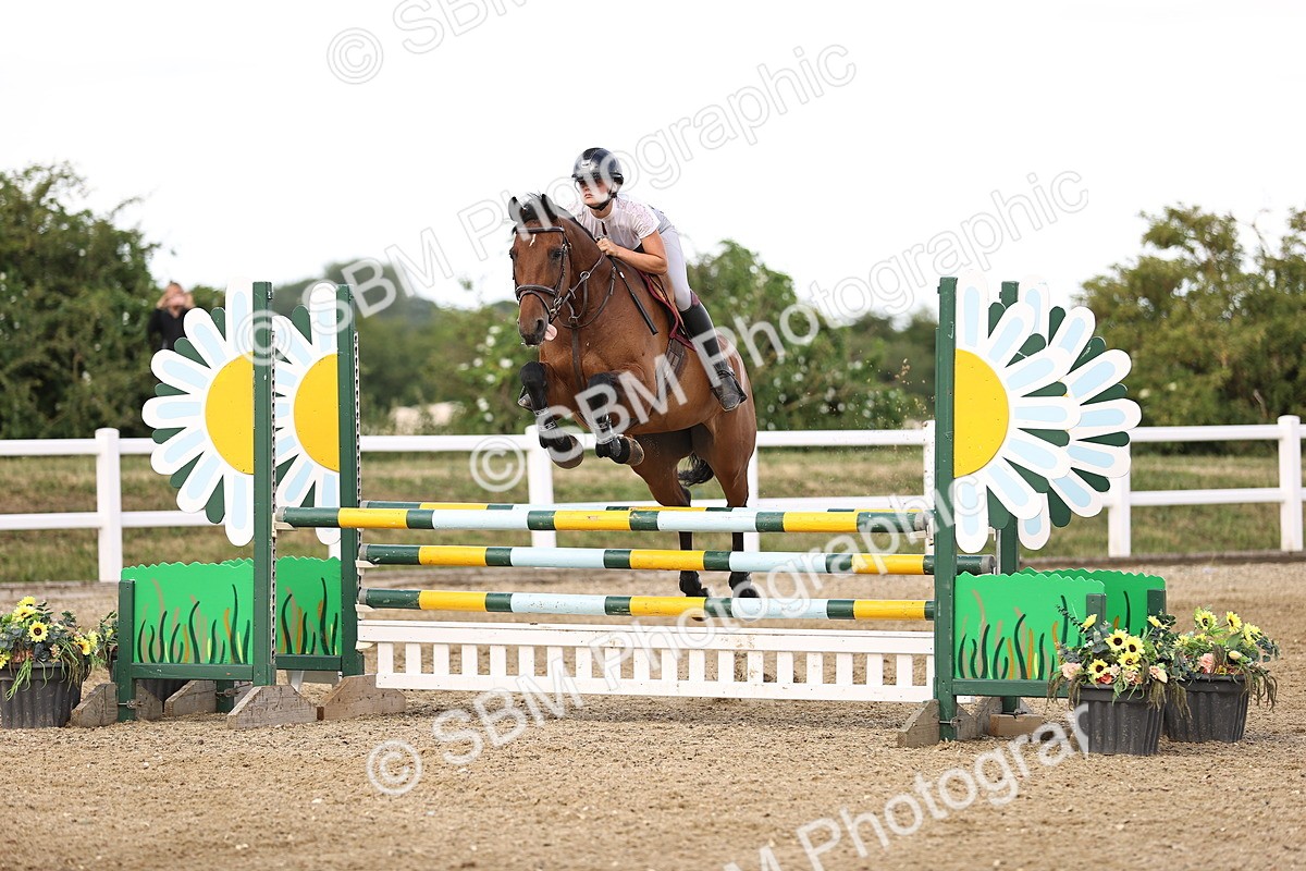 SBM_002513 - Class 19 - Nupafeed Supplements Senior Discovery - 1.00m
