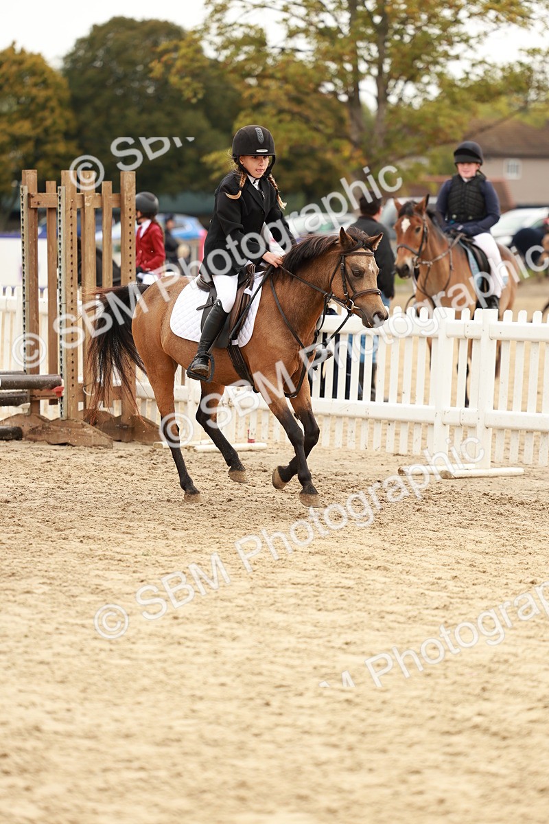 SBM_57828 - J11 - Junior Pony 50cm Championship