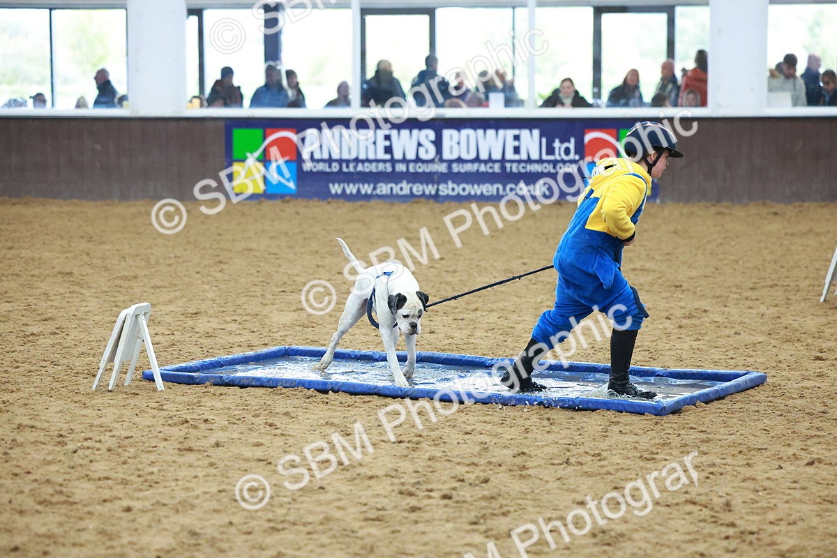 SBM_002312 - Class 3 - Horse & Hound (60cm)