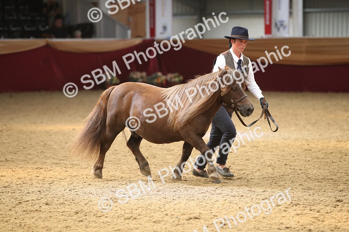 SBM_05320 - Class 8R - Regional IH Veteran