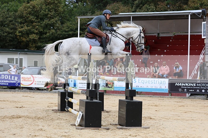3E7A3243 - Class 9: Senior Foxhunter/1.20 open