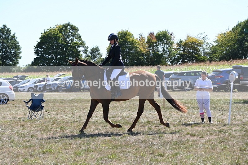 WJ6_8852 - Class 38 Ridden Riding Horse/Pony