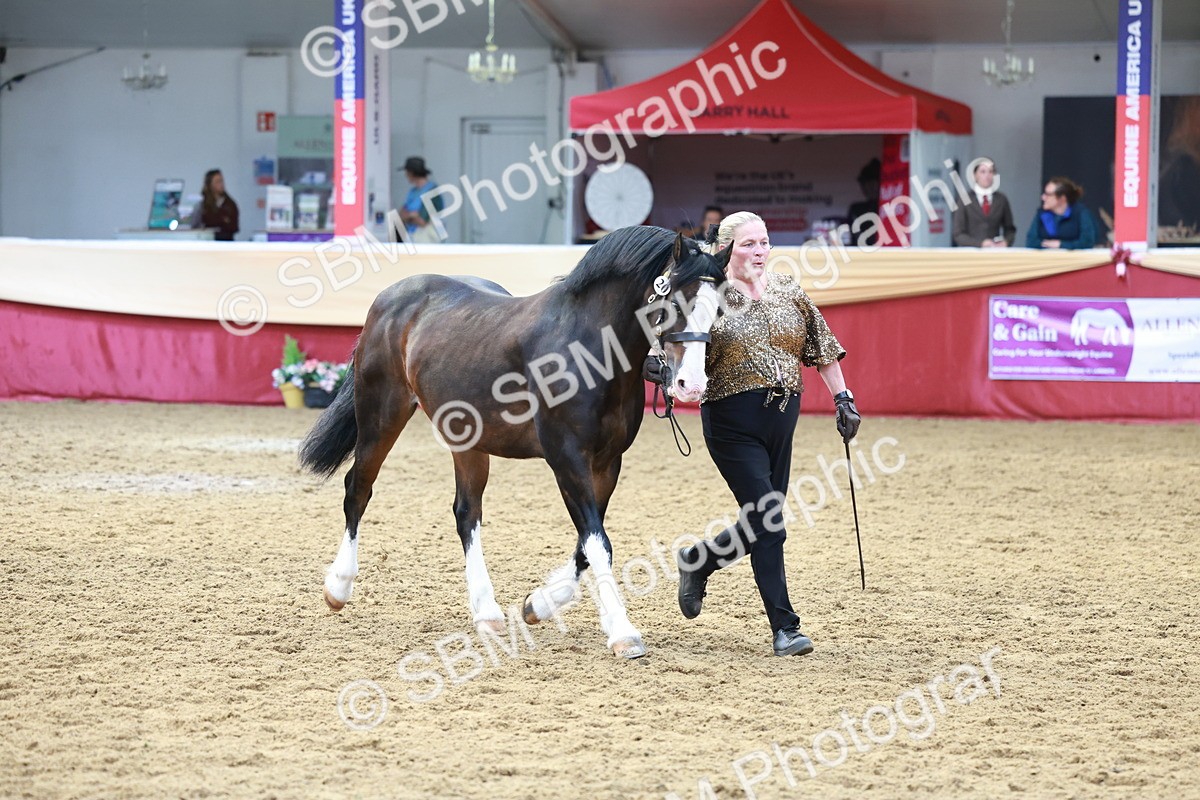 SBM_17493 - Class 951 - M&M IH Supreme Final