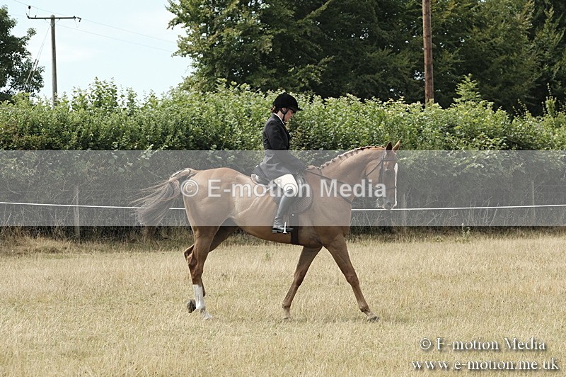 _PJP6081 - BVRC Show 2018 Ring 1