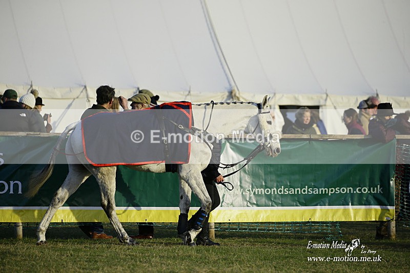 PtP 300122 673 - South Dorset Hunt - Point-to-Point Races 30/01/2022