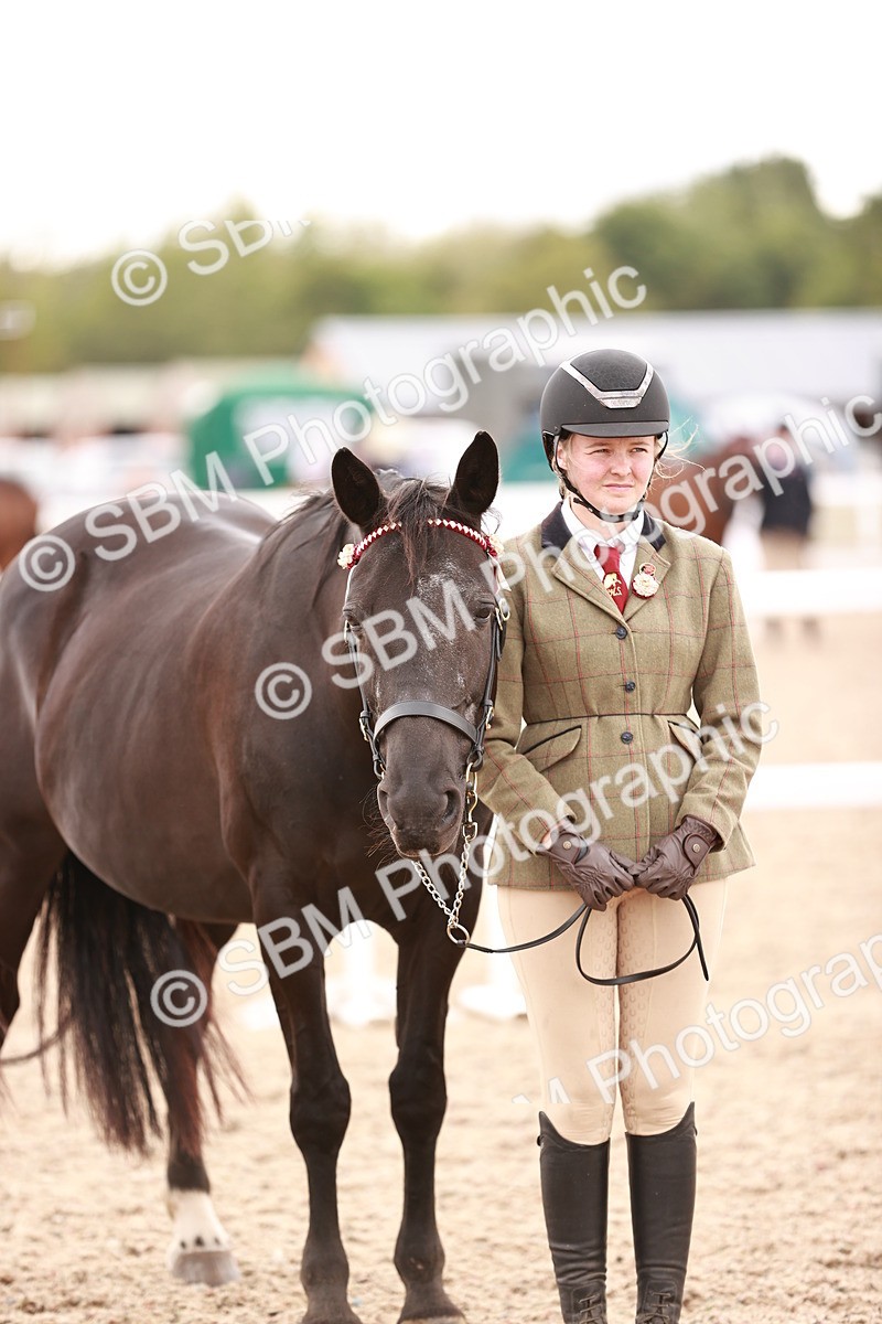 SBM_16932 - Class 415 - Horse-Pony Judge would most like to take home