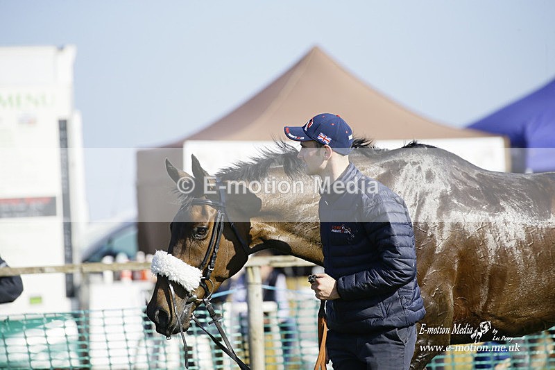 PtP 190322 621 - Wilton Hunt PtP Milborne St Andrew 19/03/22
