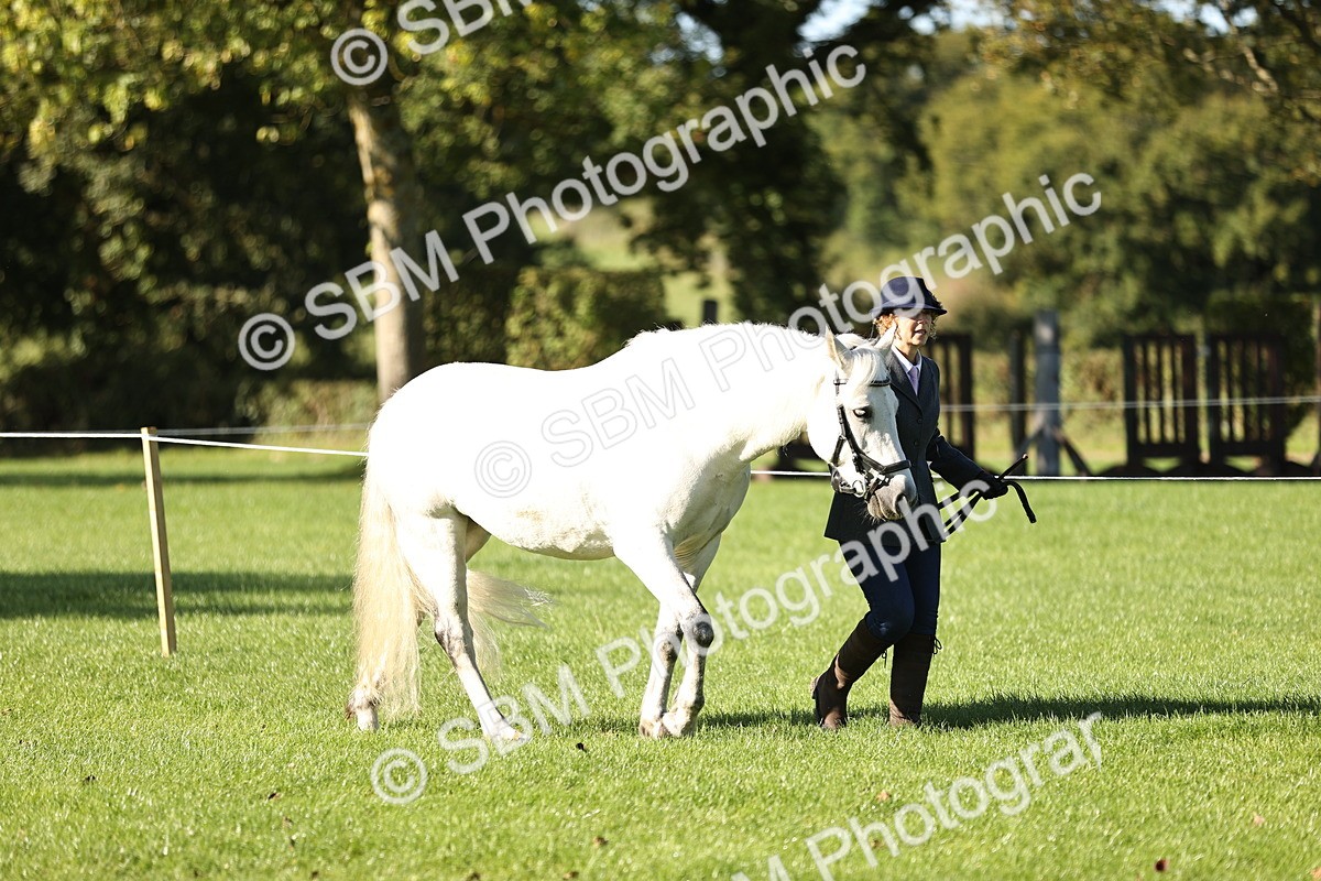 SBM_15847 - S1 - TSR in Hand Horse & Pony Showing