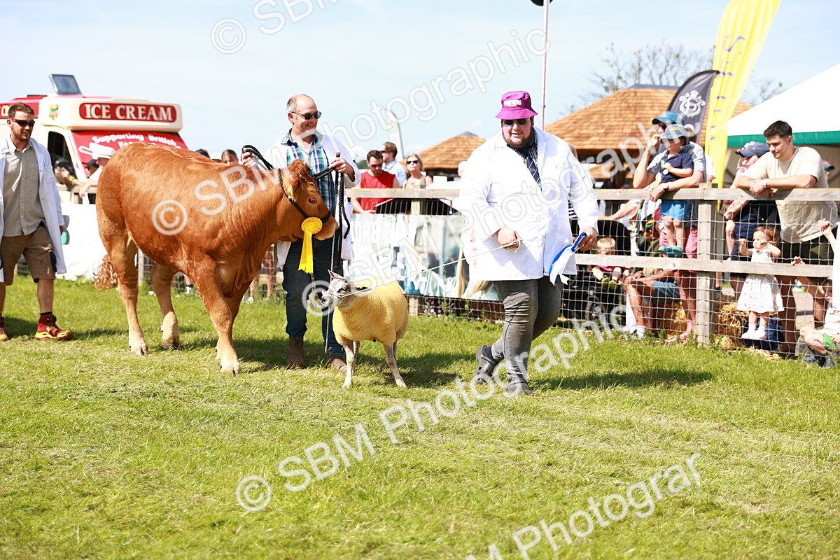 SBM_08323 - Grand Parade