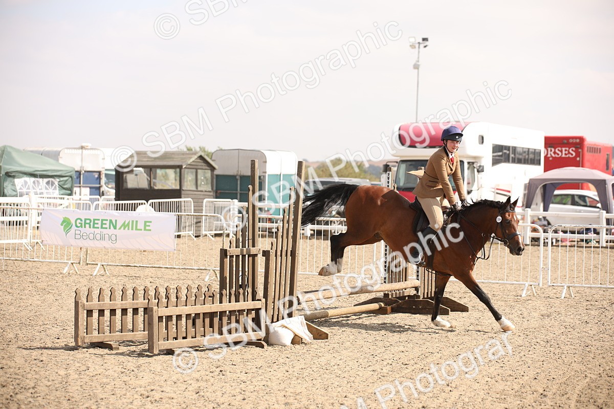 SBM_14181 - Class 407a - Working Veteran 60cm (15-19