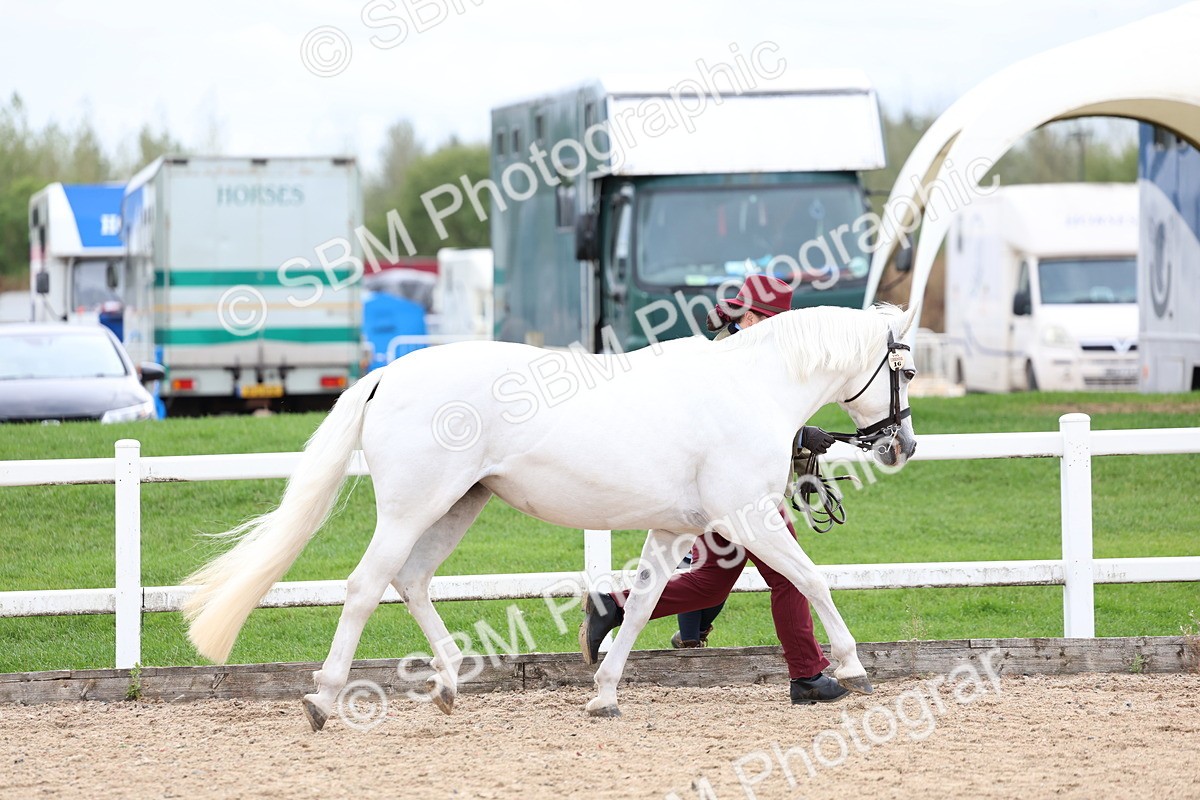 SBM_05847 - Class 29 - IH Veteran Pony