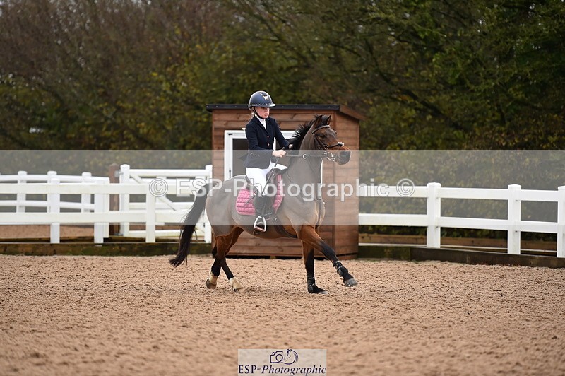 231203A-100520-00283 - Cls 2 British Novice & 80cm Open