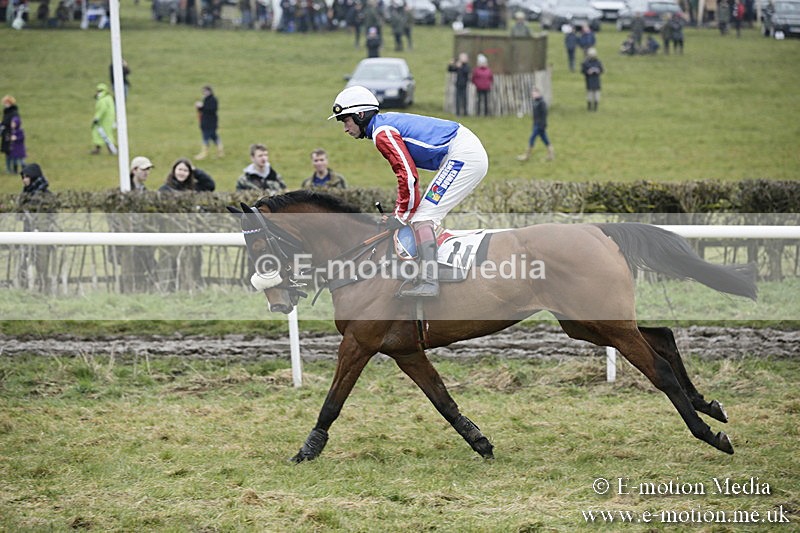 PtP 020418 -112 - Old Berks Point-to-Point Races Easter Monday 02/04/18