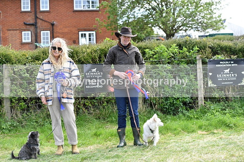 WJ5_0855 - Best in Show Championship