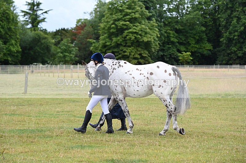 WJ6_8758 - Class 10 Coloured in-hand