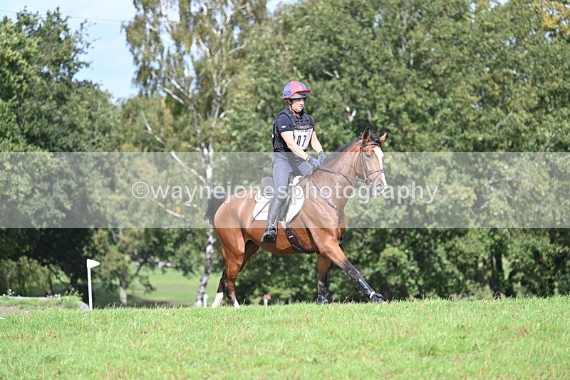 WJ7_1995 - Time 13:17 to 13:53