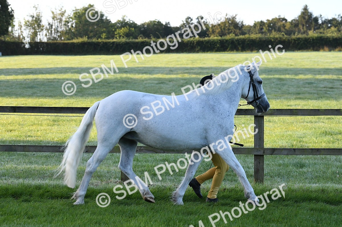 SBM_32599 - S15 - Condition & Turnout In Hand