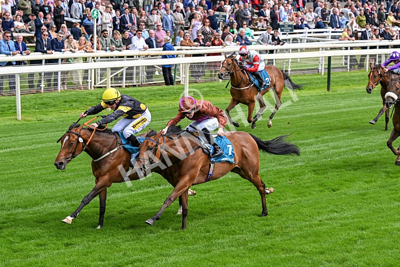 120626-Race 4-Big Negotiator-0235 - Race 4 15.35pm Juddmonte EBF Fillies' Restricted Novice