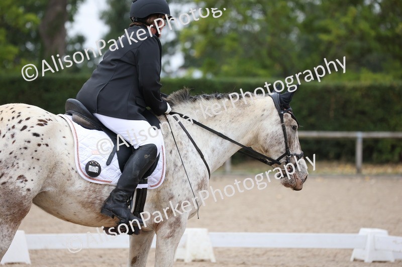 20250820-0303 - Class 9 - My Quest Prelim 3