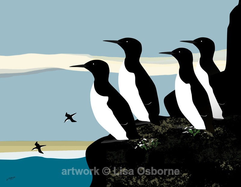 Guillemots - DIGITAL ARTWORK