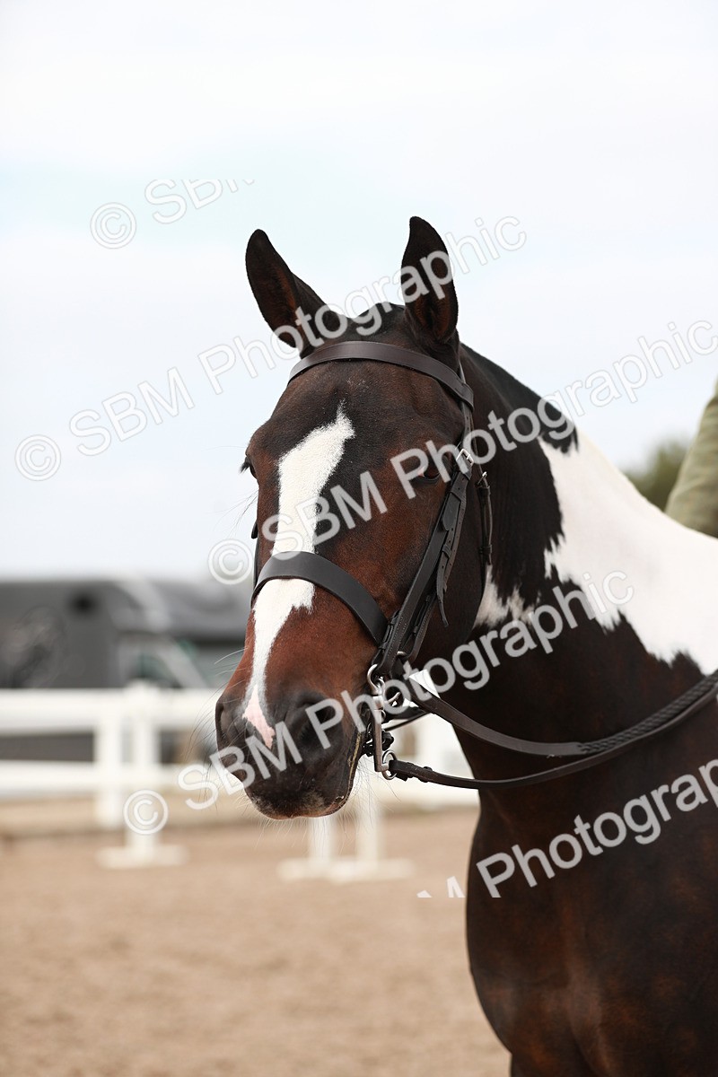 SBM_16750 - Class 214 Ridden Cob