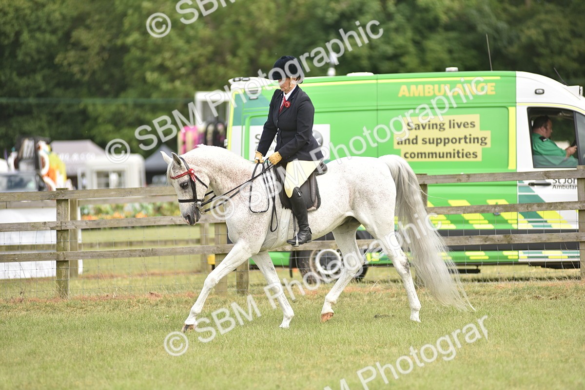 SBM_18157 - Class 122-123 - LIHS BHSA Raising Star Style and Performance Series