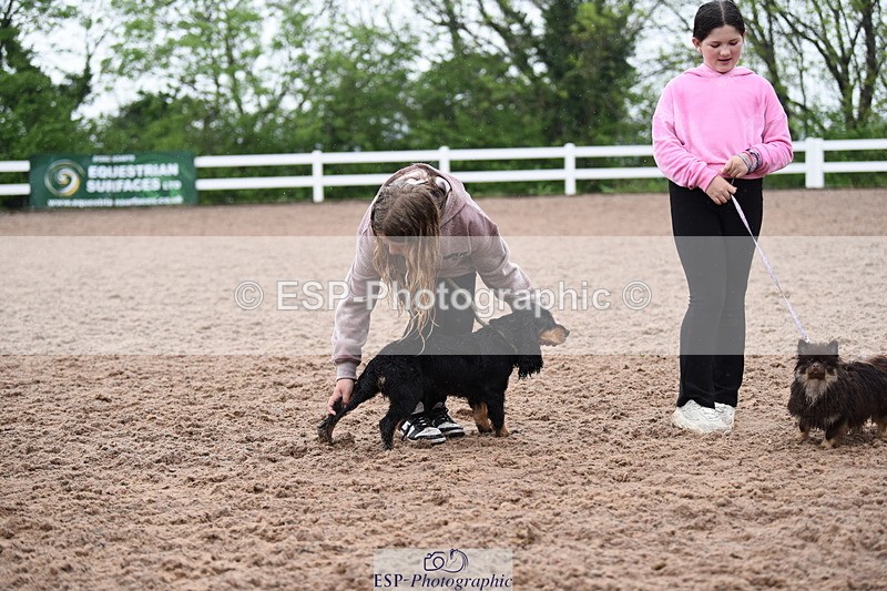 240518A-132638-01299 - Cls 8 Dog the judge would most like to take home