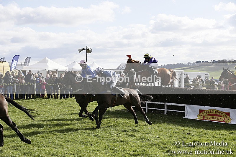 PtP 040218 39 - Point-to-Point Milborne St Andrew 04/02/18
