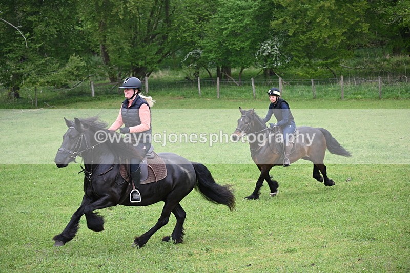 WJ6_2690 - A camera
