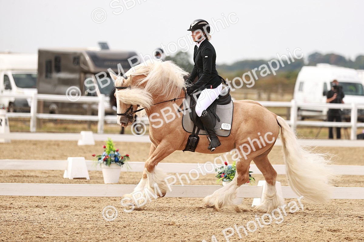 SBM_000757 - Class 1 - Prelim 5 - 10.40-11.36