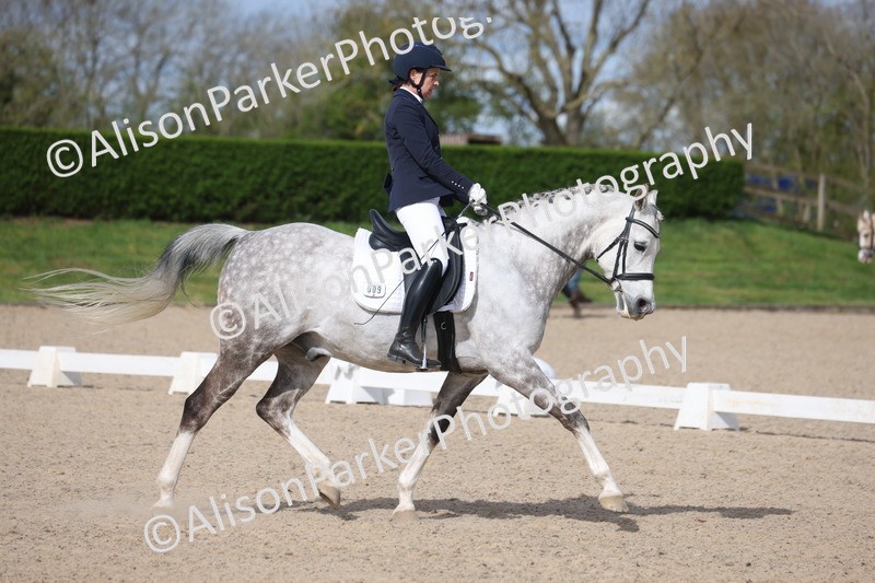 20260405-0186 - Class 3 - Novice 5