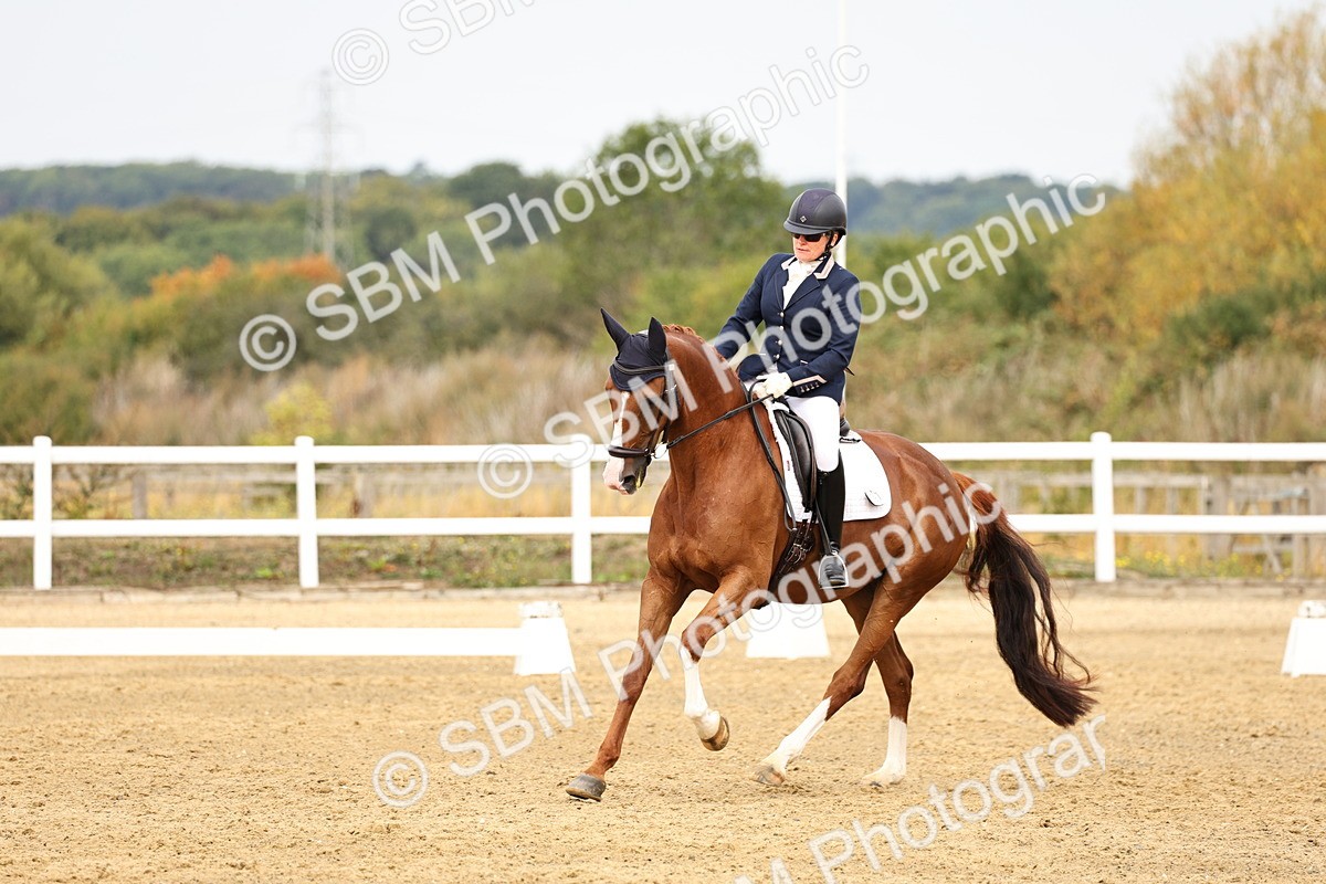 SBM_012309 - Class 2 - Prelim 5